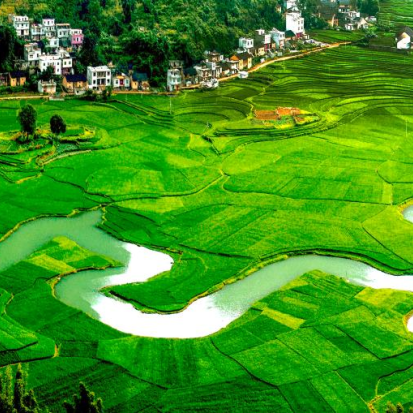 益生菌科研前沿:揭秘巴马长寿菌与健效达PQQ的协同奥秘,重塑抗衰新标准(图2)